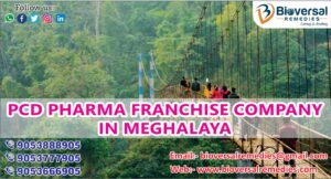 PCD Pharma Franchise Company in Meghalaya