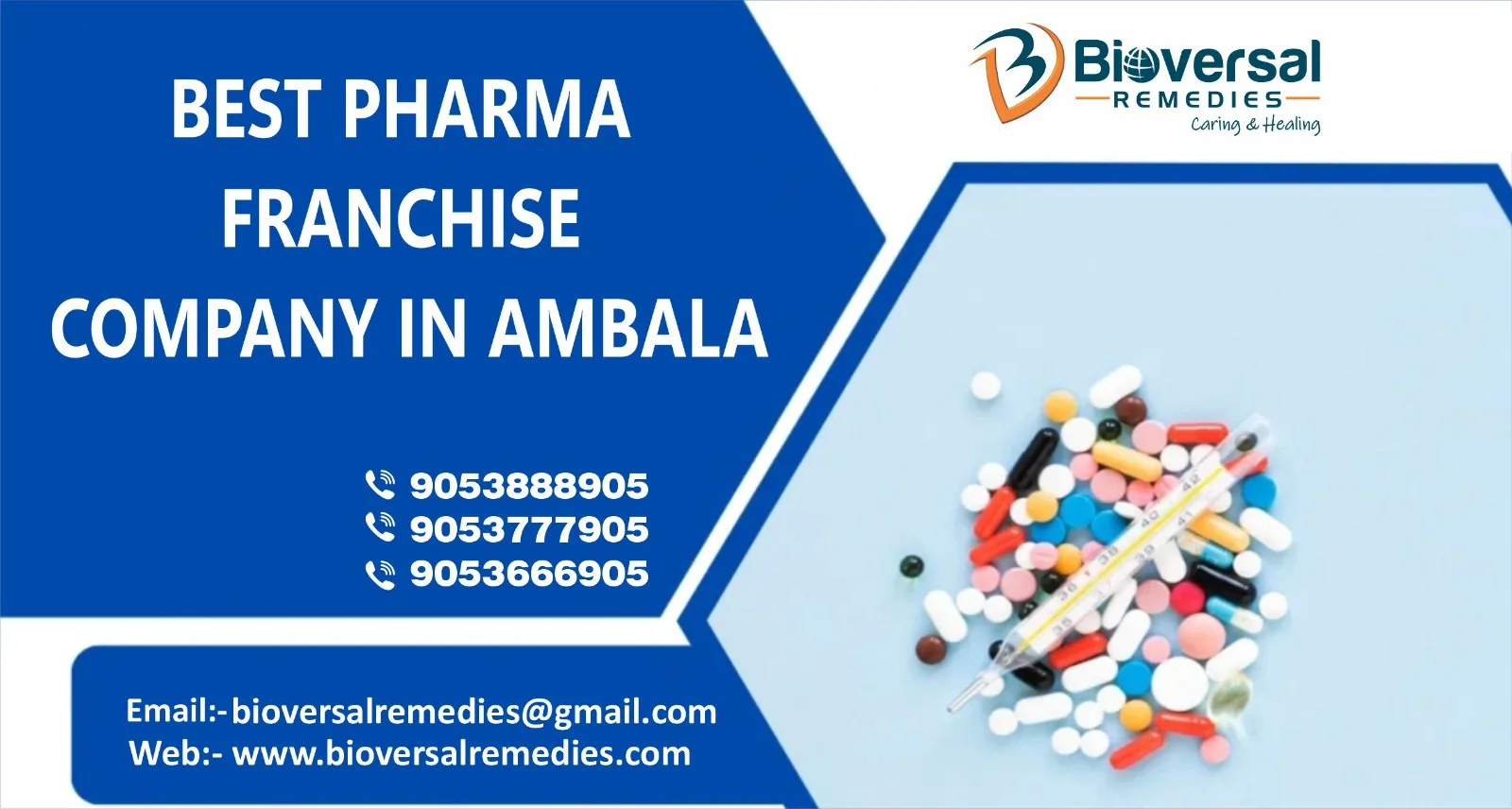 best pharma franchise company in Ambala - Bioversal Remedies