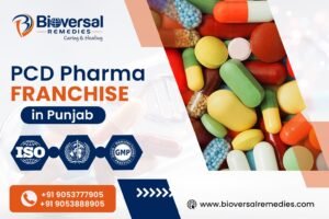 PCD Pharma Franchise in Punjab