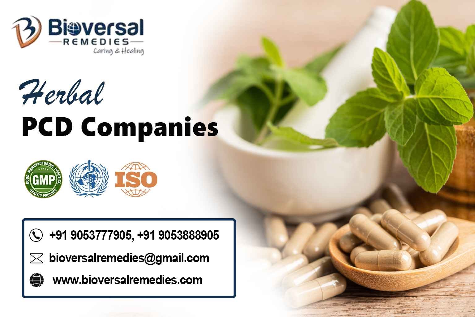 Herbal PCD Companies